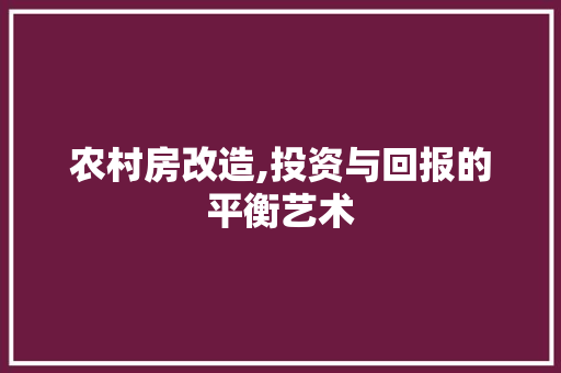 农村房改造,投资与回报的平衡艺术