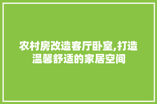 农村房改造客厅卧室,打造温馨舒适的家居空间