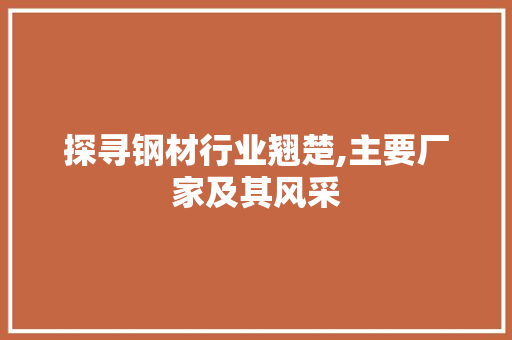 探寻钢材行业翘楚,主要厂家及其风采