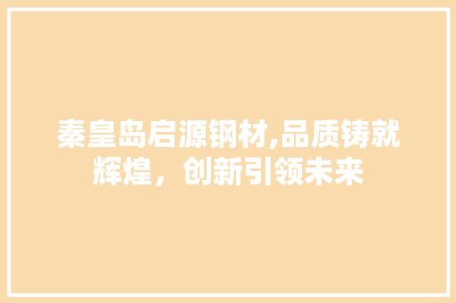 秦皇岛启源钢材,品质铸就辉煌，创新引领未来