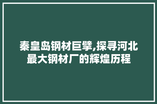 秦皇岛钢材巨擘,探寻河北最大钢材厂的辉煌历程
