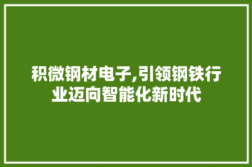 积微钢材电子,引领钢铁行业迈向智能化新时代