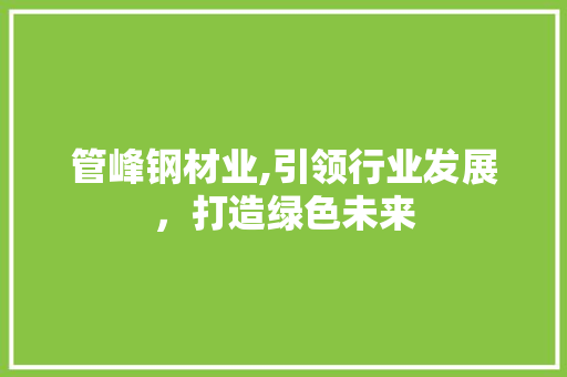 管峰钢材业,引领行业发展，打造绿色未来
