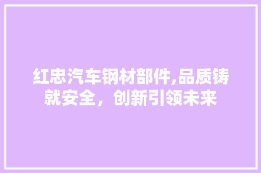 红忠汽车钢材部件,品质铸就安全，创新引领未来