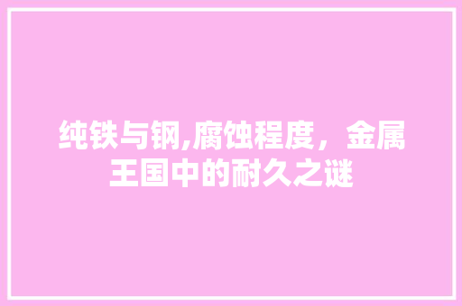纯铁与钢,腐蚀程度，金属王国中的耐久之谜