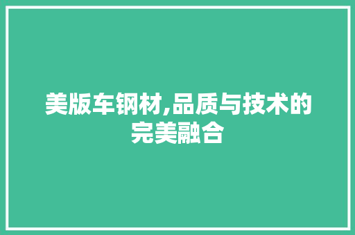 美版车钢材,品质与技术的完美融合