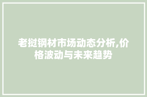 老挝钢材市场动态分析,价格波动与未来趋势