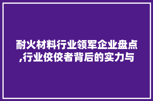 耐火材料行业领军企业盘点,行业佼佼者背后的实力与担当