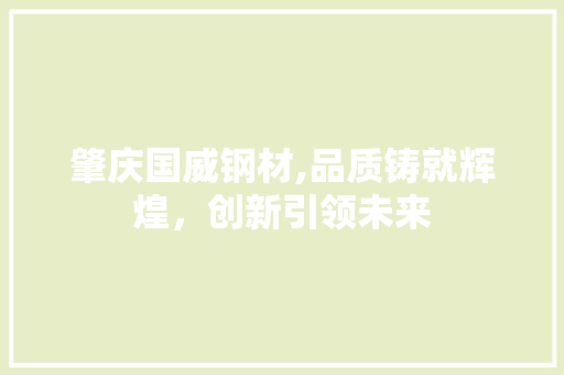 肇庆国威钢材,品质铸就辉煌，创新引领未来