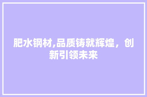 肥水钢材,品质铸就辉煌，创新引领未来