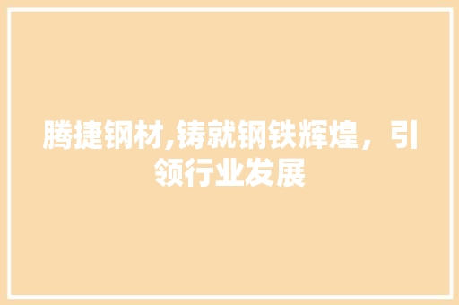 腾捷钢材,铸就钢铁辉煌，引领行业发展