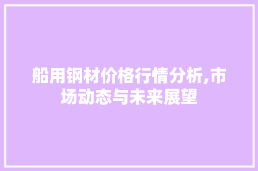 船用钢材价格行情分析,市场动态与未来展望