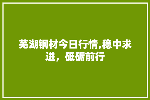 芜湖钢材今日行情,稳中求进，砥砺前行