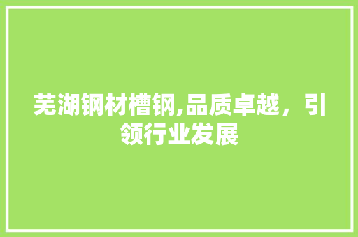 芜湖钢材槽钢,品质卓越，引领行业发展