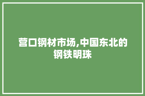 营口钢材市场,中国东北的钢铁明珠