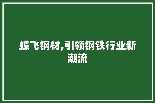 蝶飞钢材,引领钢铁行业新潮流
