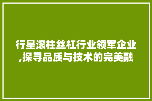 行星滚柱丝杠行业领军企业,探寻品质与技术的完美融合