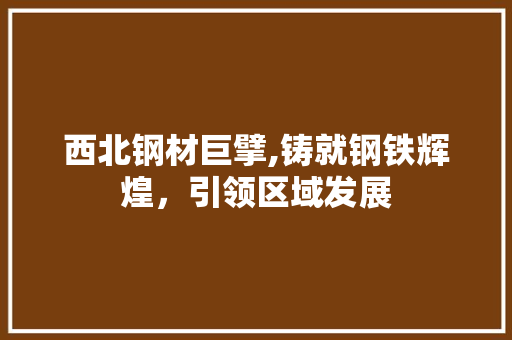 西北钢材巨擘,铸就钢铁辉煌，引领区域发展