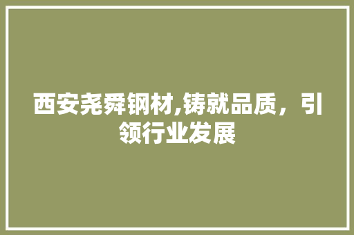 西安尧舜钢材,铸就品质，引领行业发展