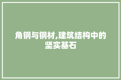 角钢与钢材,建筑结构中的坚实基石