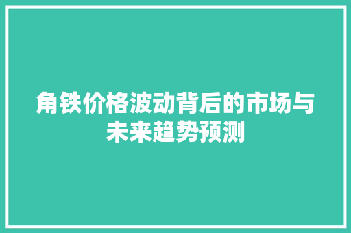 角铁价格波动背后的市场与未来趋势预测