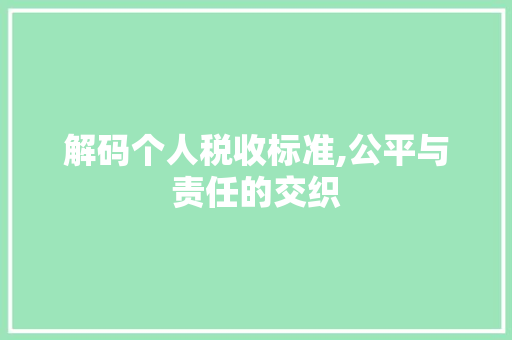 解码个人税收标准,公平与责任的交织