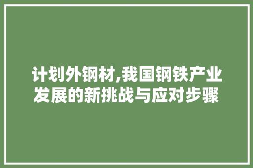 计划外钢材,我国钢铁产业发展的新挑战与应对步骤