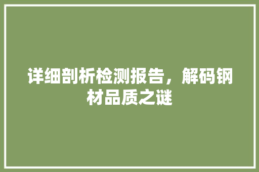 详细剖析检测报告，解码钢材品质之谜