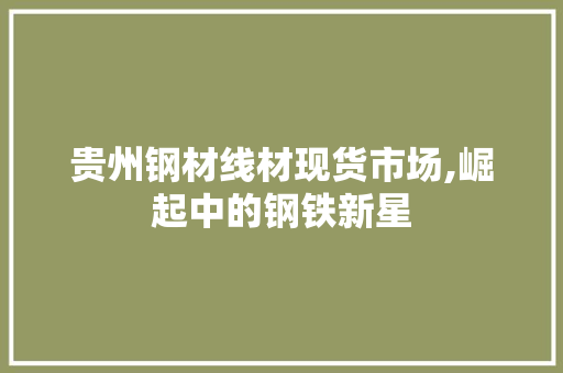 贵州钢材线材现货市场,崛起中的钢铁新星