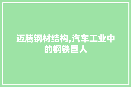 迈腾钢材结构,汽车工业中的钢铁巨人