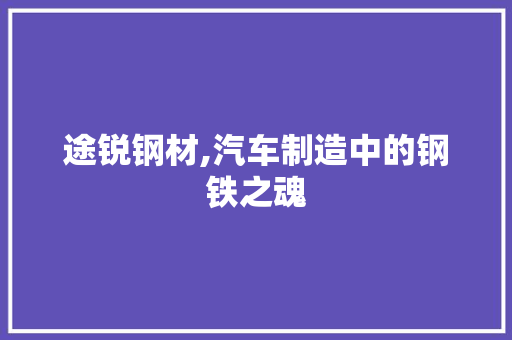 途锐钢材,汽车制造中的钢铁之魂