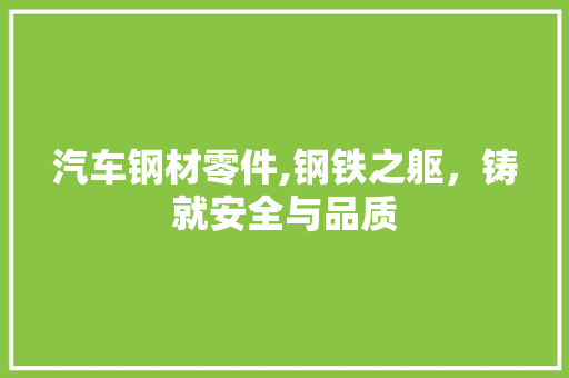 汽车钢材零件,钢铁之躯，铸就安全与品质