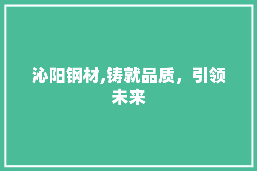 沁阳钢材,铸就品质，引领未来