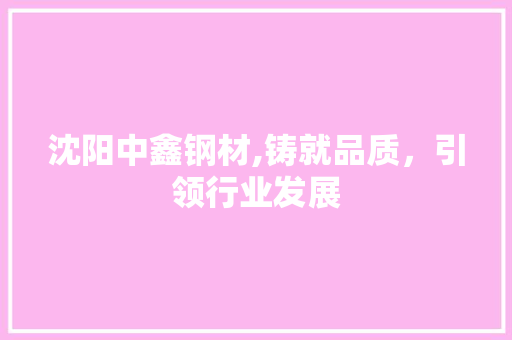 沈阳中鑫钢材,铸就品质，引领行业发展