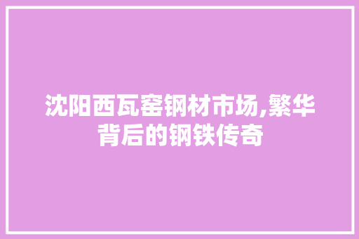沈阳西瓦窑钢材市场,繁华背后的钢铁传奇