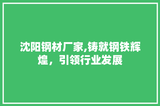 沈阳钢材厂家,铸就钢铁辉煌，引领行业发展