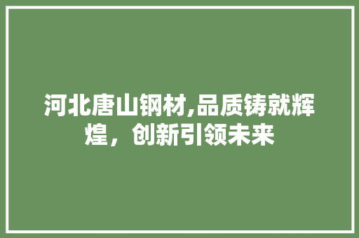 河北唐山钢材,品质铸就辉煌，创新引领未来