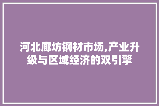 河北廊坊钢材市场,产业升级与区域经济的双引擎