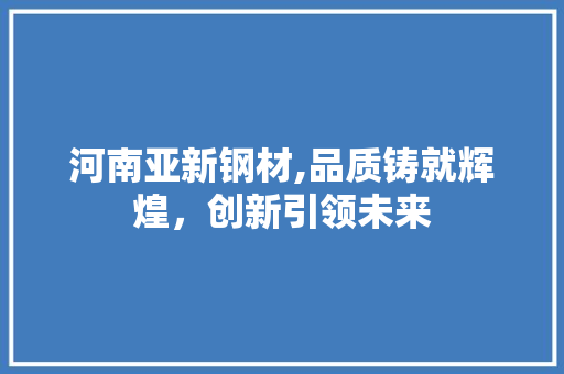 河南亚新钢材,品质铸就辉煌，创新引领未来