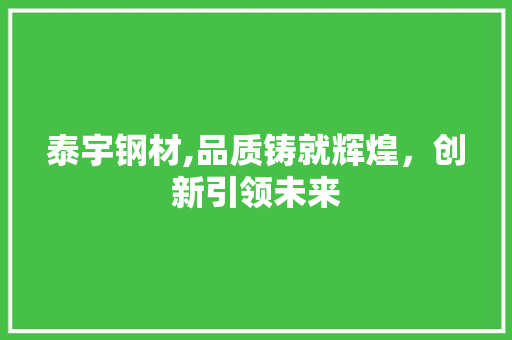 泰宇钢材,品质铸就辉煌，创新引领未来