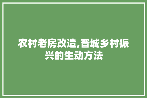 农村老房改造,晋城乡村振兴的生动方法