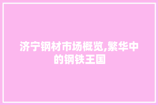 济宁钢材市场概览,繁华中的钢铁王国