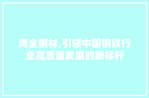 海全钢材,引领中国钢铁行业高质量发展的新标杆