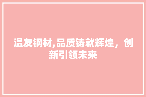 温友钢材,品质铸就辉煌，创新引领未来