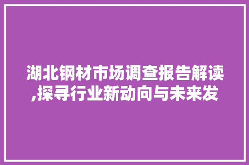 湖北钢材市场调查报告解读,探寻行业新动向与未来发展趋势