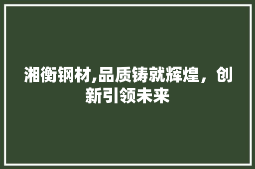 湘衡钢材,品质铸就辉煌，创新引领未来