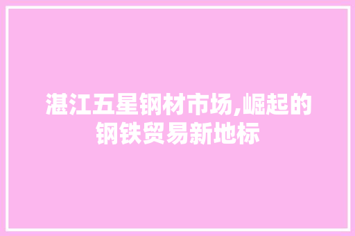 湛江五星钢材市场,崛起的钢铁贸易新地标