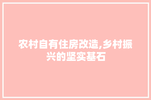 农村自有住房改造,乡村振兴的坚实基石