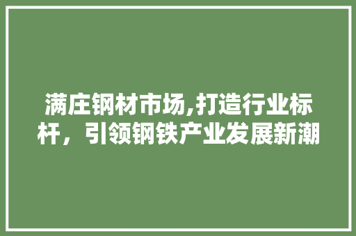 满庄钢材市场,打造行业标杆，引领钢铁产业发展新潮流