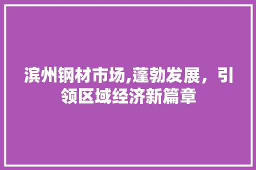 滨州钢材市场,蓬勃发展，引领区域经济新篇章